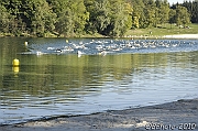 100919_TVJ_0068