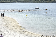 100919_TVJ_0694