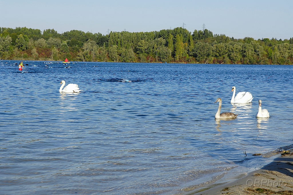 150927_CTAJ_0259.JPG