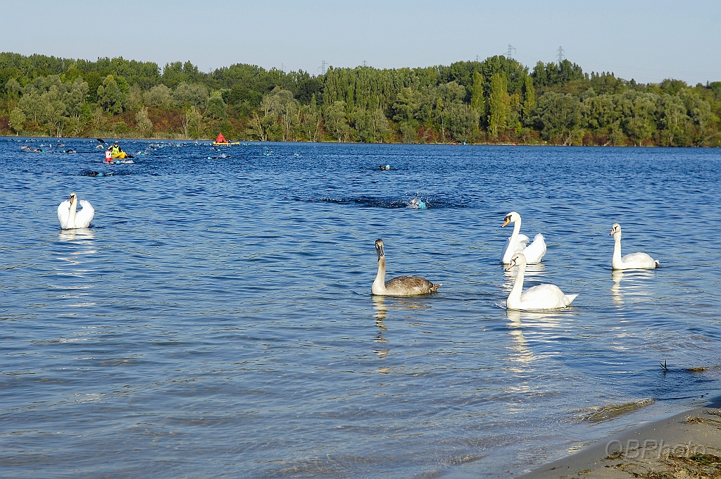 150927_CTAJ_0260.JPG