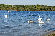150927_CTAJ_0260